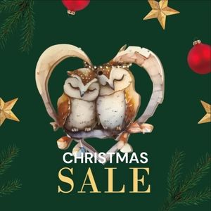 BSK- Absolutely Adorable Pair of Owls Ornamemt/Child's Necklace on Chain